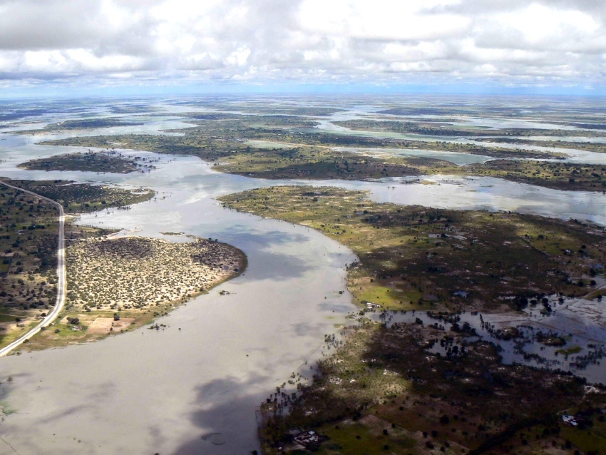 Mendelsohn iishana COPY